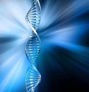 la activación del ADN