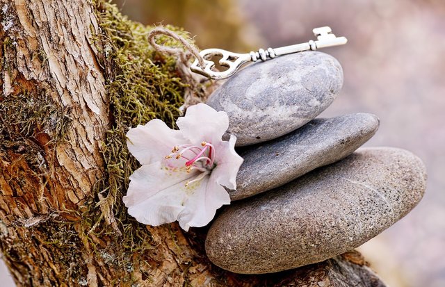 key, flower, how to awaken your intuition